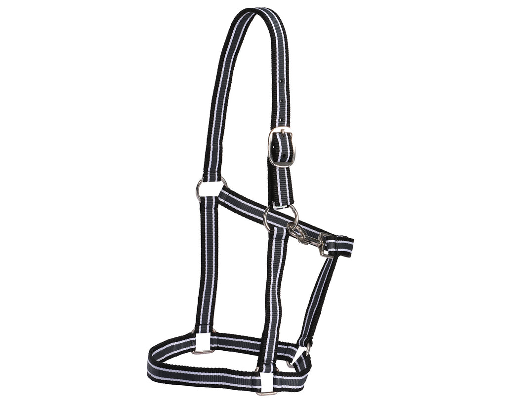 Rancher Stable Halter: Reliable and durable halter made of quality nylon. Designed for everyday use in the stable. Adjustable straps for a customized fit. Shop now at Greg Grant Saddlery.