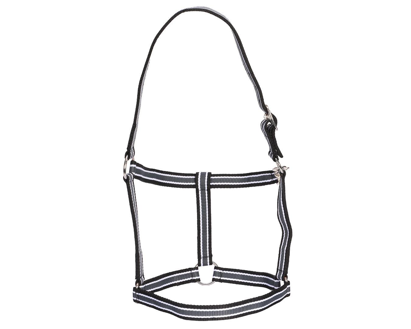 Rancher Striped Stable Nylon Halter | Halters & Lead Ropes – Greg Grant ...