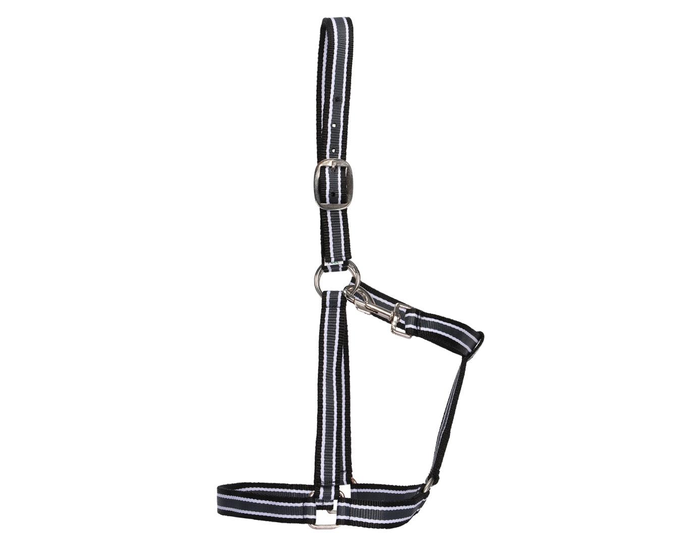 Rancher Striped Stable Nylon Halter | Halters & Lead Ropes – Greg Grant ...