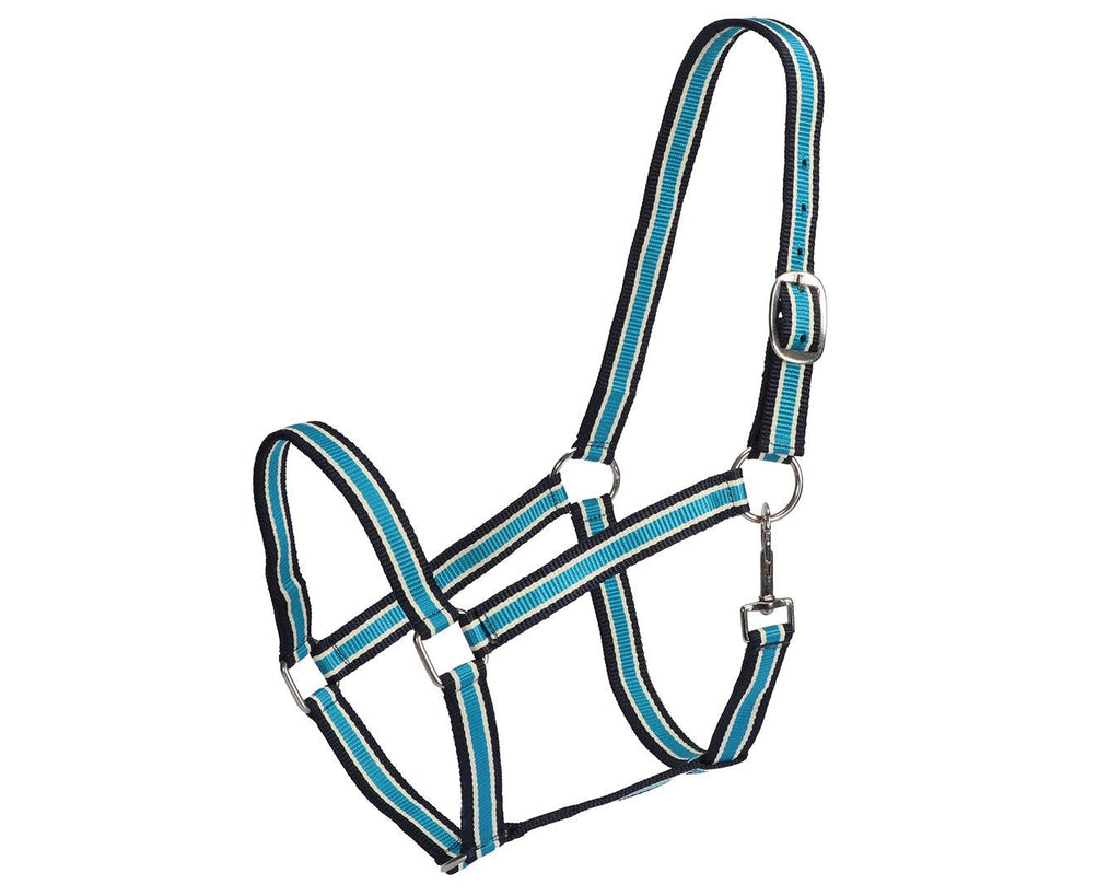 Rancher Striped Stable Nylon Halter | Halters & Lead Ropes – Greg Grant ...