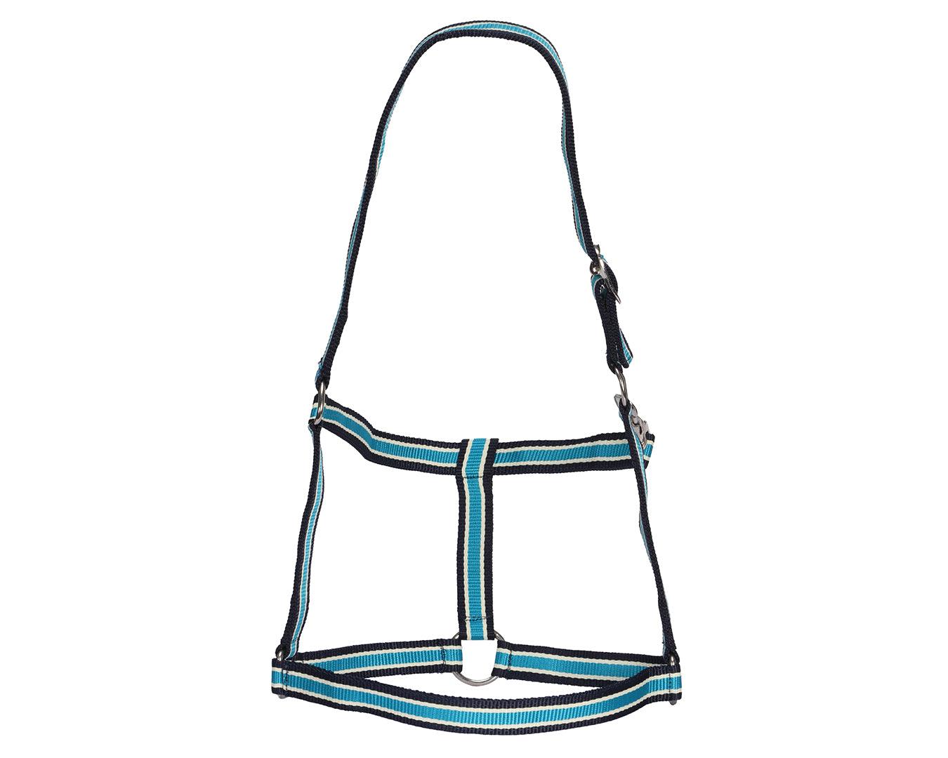 Rancher Striped Stable Nylon Halter | Halters & Lead Ropes – Greg Grant ...