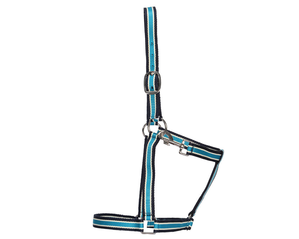 Rancher Stable Halter: Reliable and durable halter made of quality nylon. Designed for everyday use in the stable. Adjustable straps for a customized fit. Shop now at Greg Grant Saddlery.