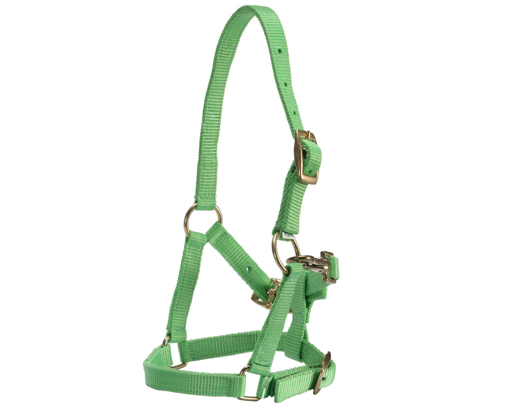STC Nylon Foal Halter - Assorted Colours with nickel plated hardware is used throughout