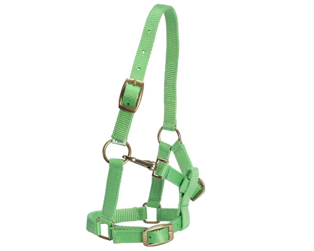 STC Nylon Foal Halter - Assorted Colours