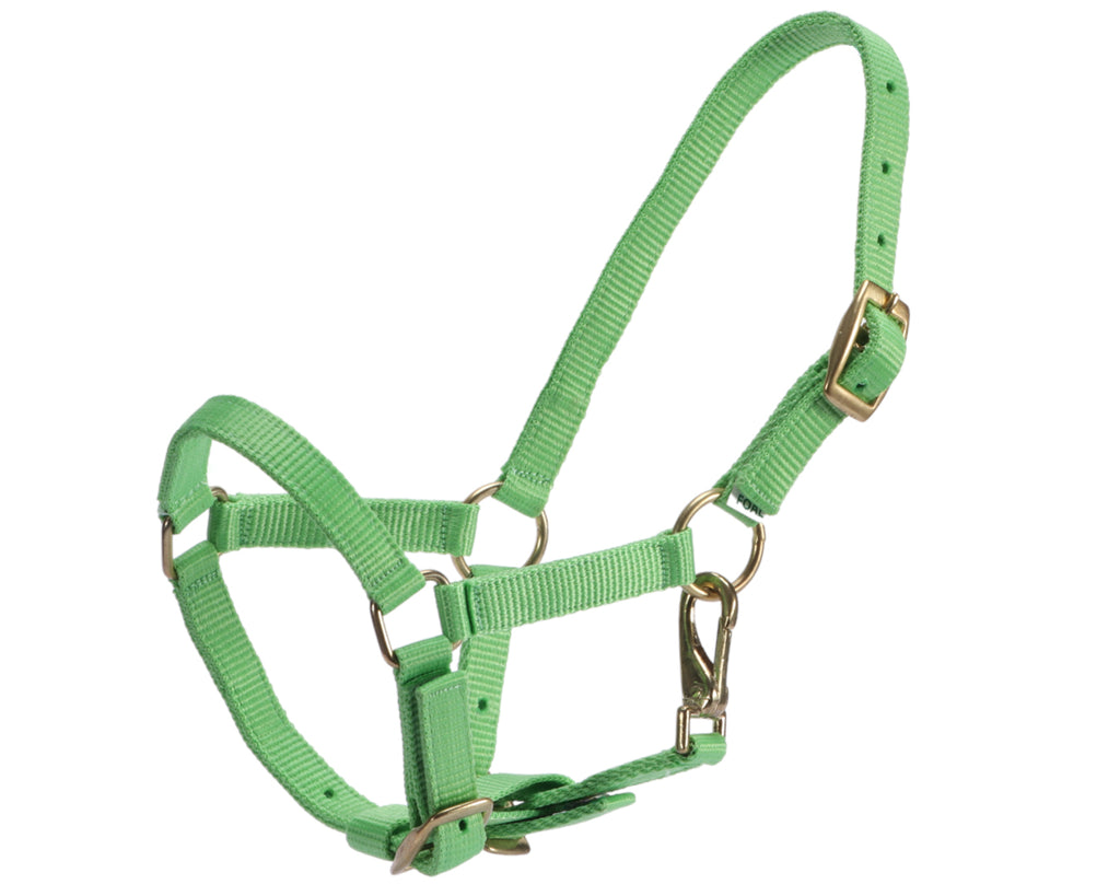 STC Nylon Foal Halter - Assorted Colours 17mm nylon web halter with three buckle adjustments for a perfect fit