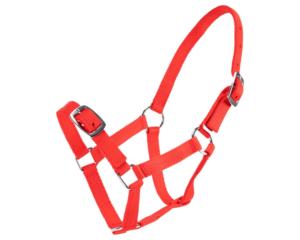Rancher Economy Foal Halter - Red