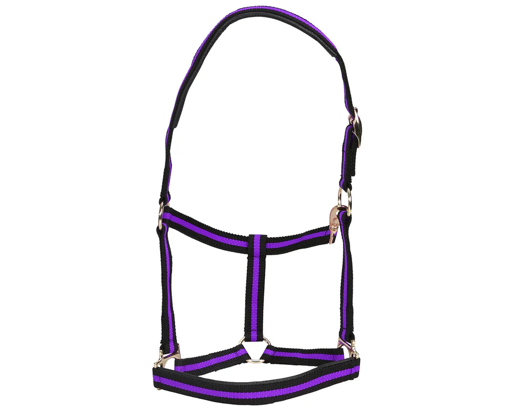 Rancher No-Rub Deluxe Halter