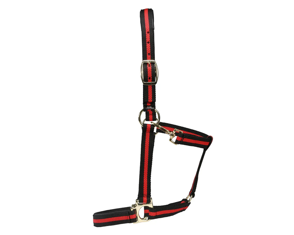 Rancher No-Rub Deluxe Halter