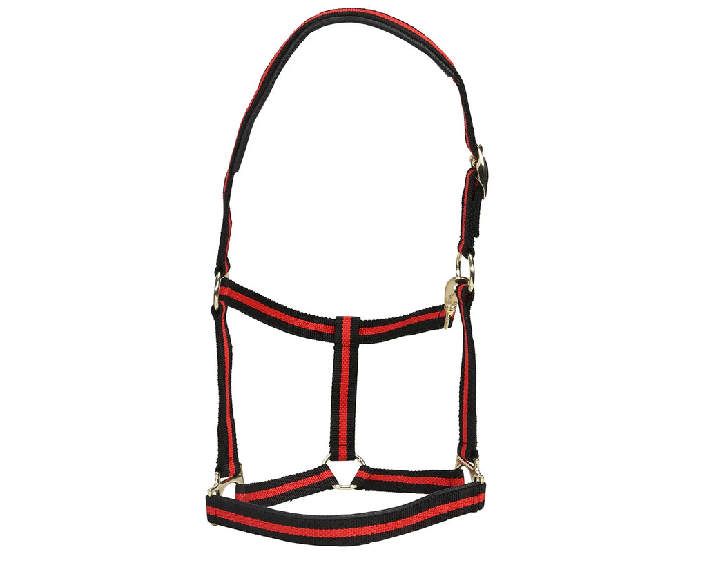 Rancher No-Rub Deluxe Halter