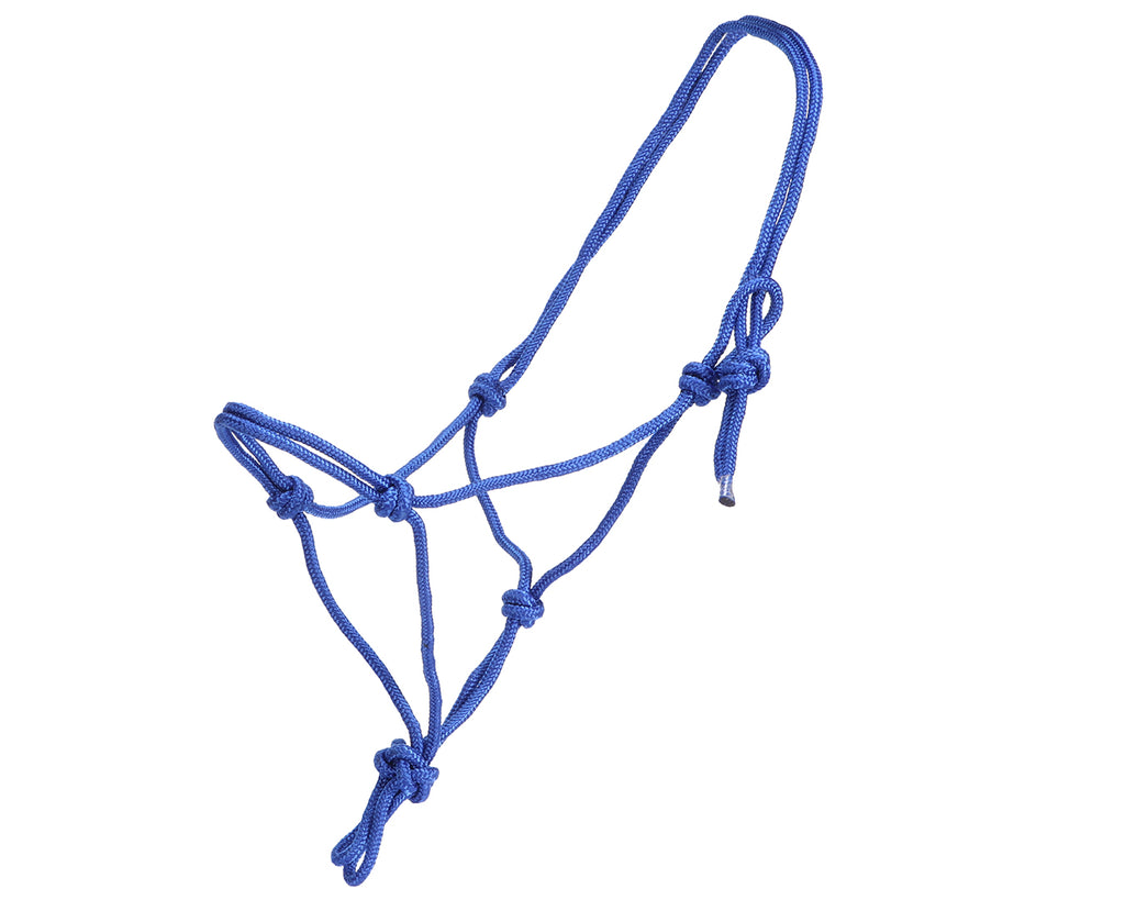 Rancher Mini Rope Halter in Blue