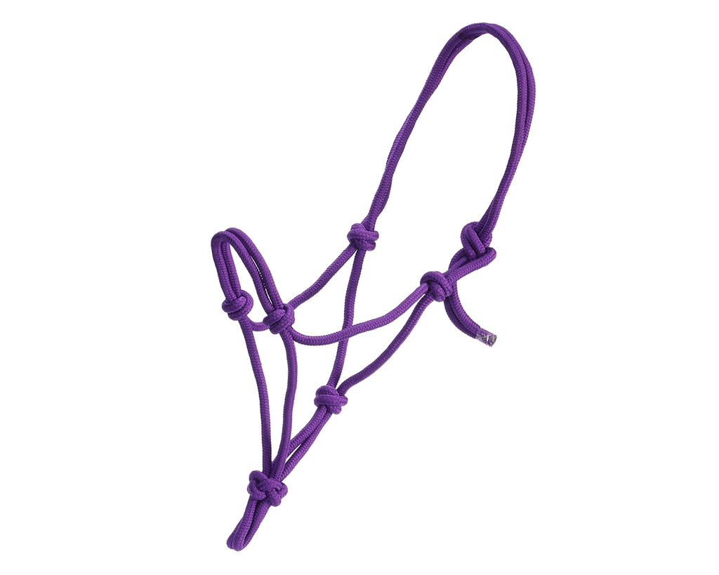 Rancher Mini Rope Halter in Purple