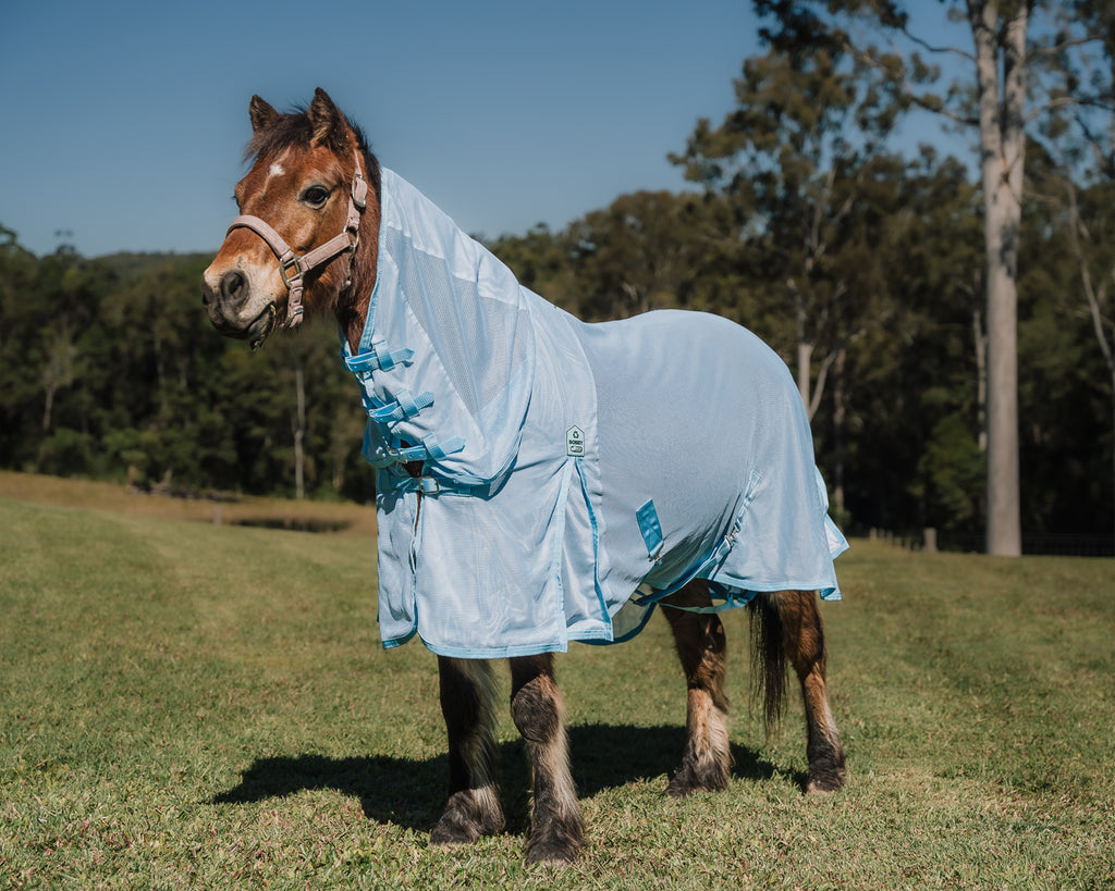 Kool Master Recycled Fly Mesh Combo