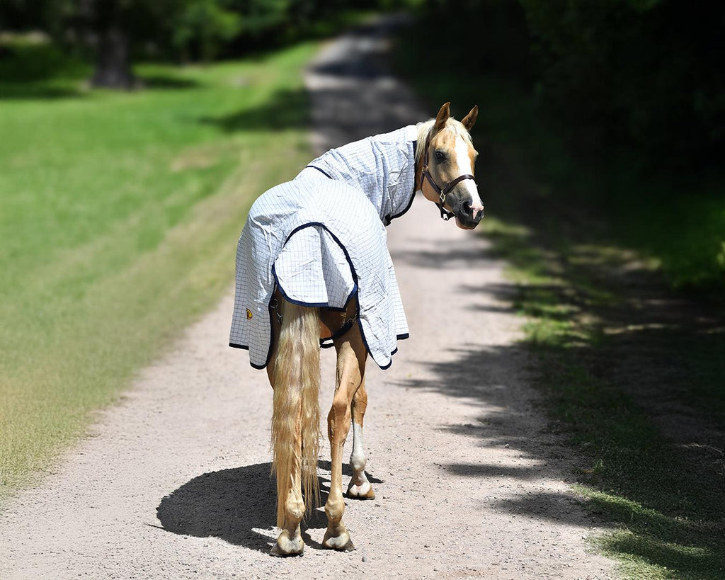 GG Australia Tear-Stop Horse Rug Combo - White/Navy