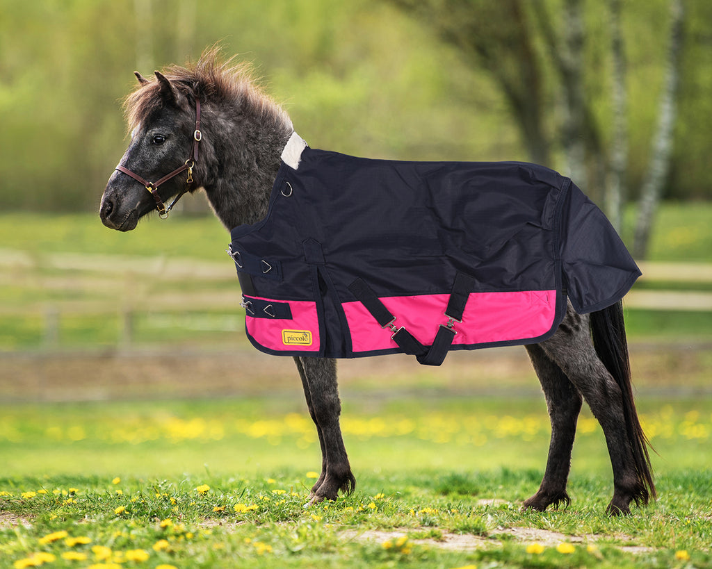 Piccolo Mini 600d Turnout Rug in Navy/Pink