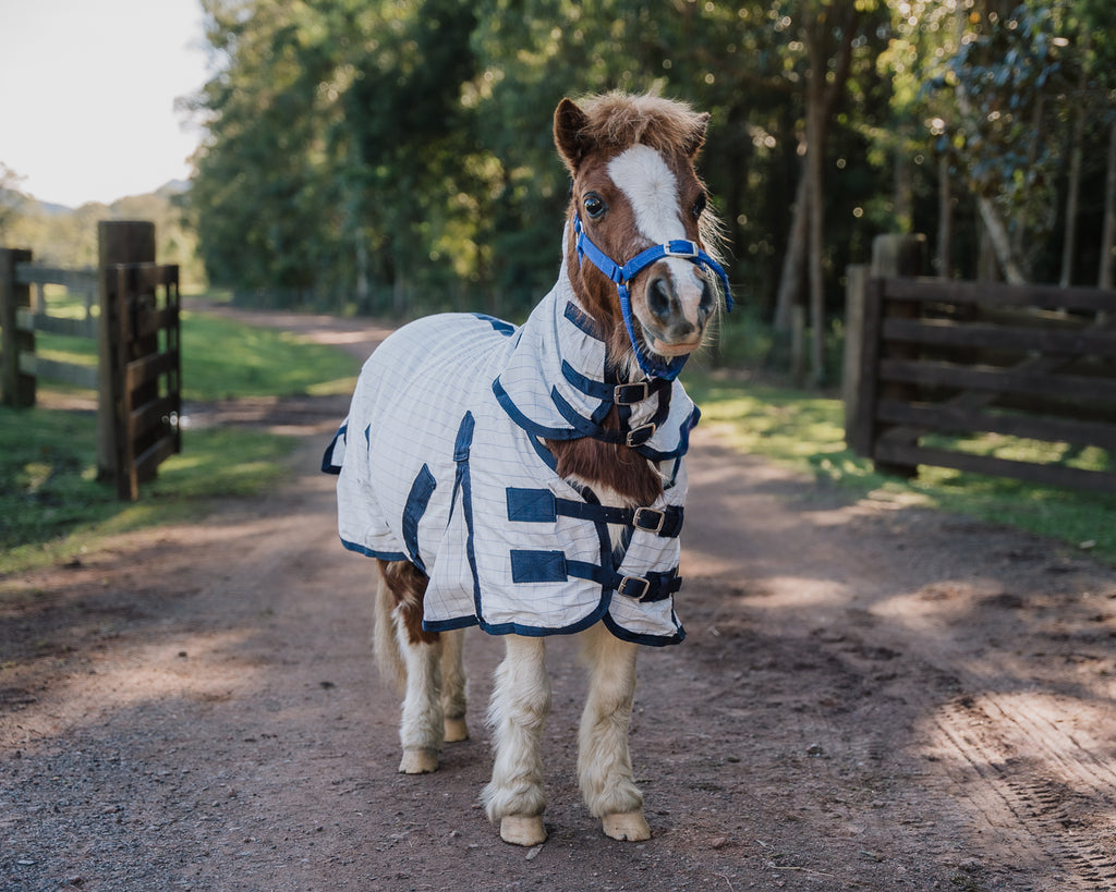 Piccolo Mini Summer Rug Combo