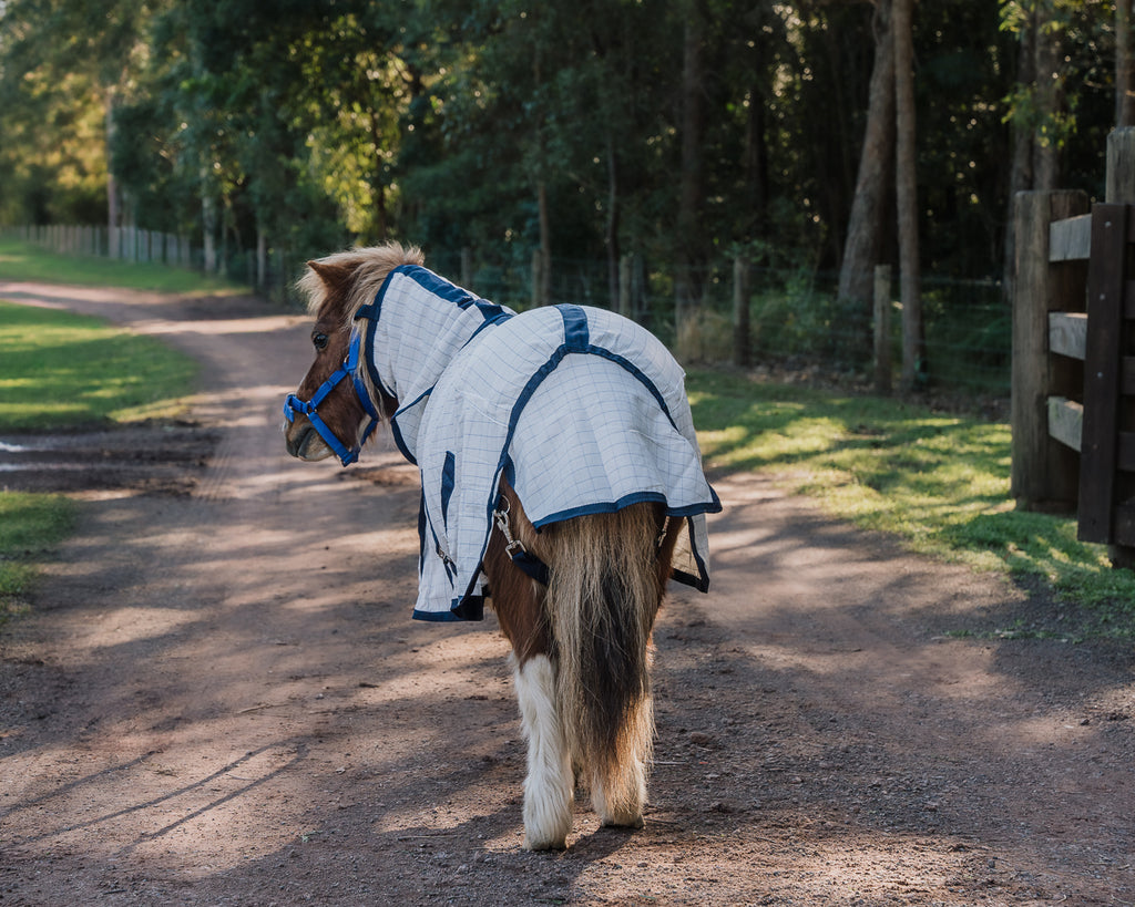 Piccolo Mini Summer Rug Combo
