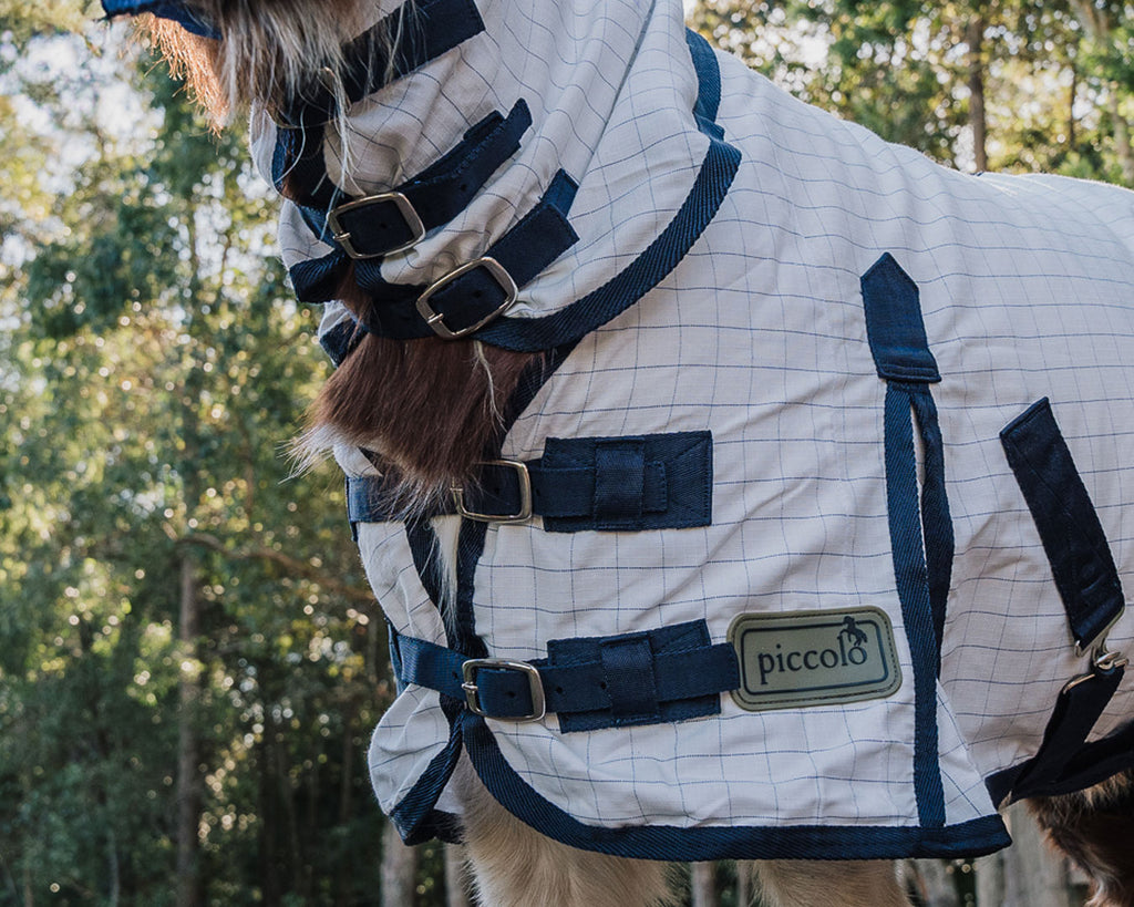 Piccolo Mini Summer Rug Combo