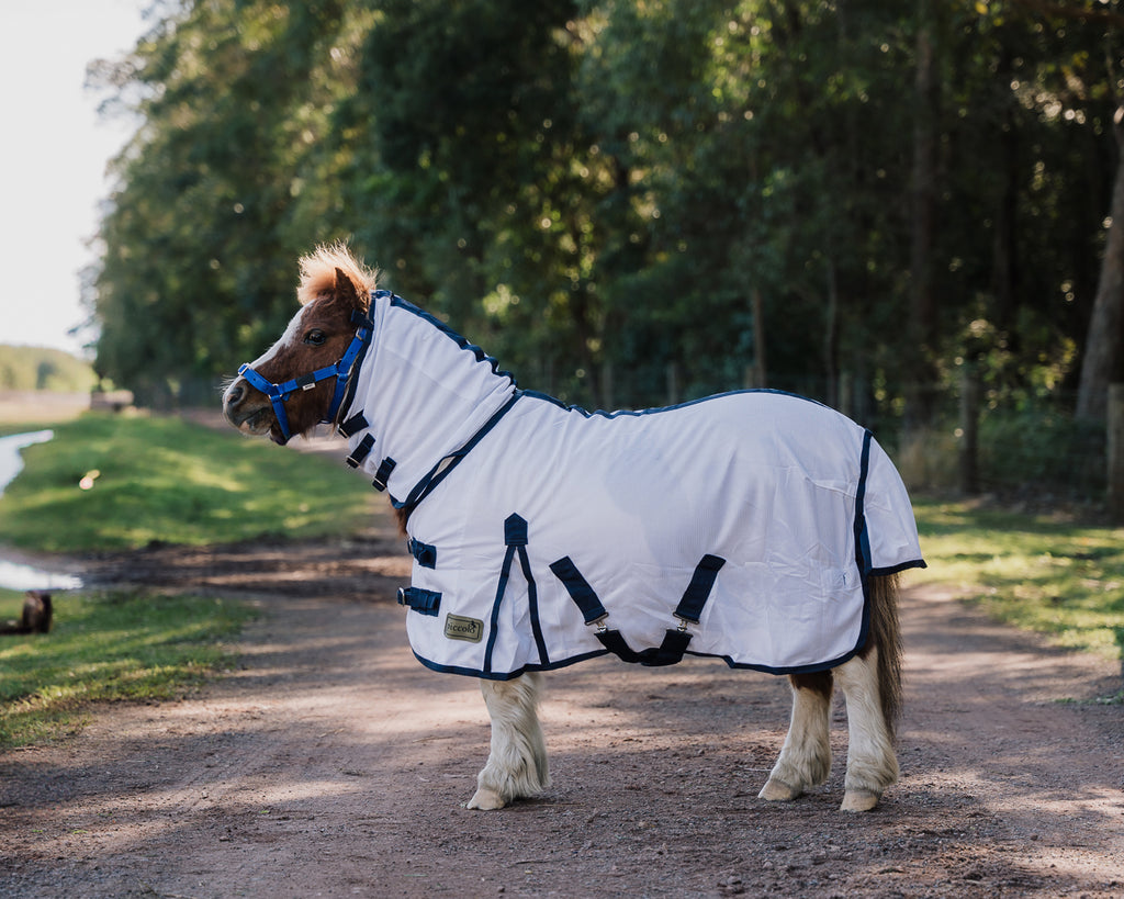 Best Horse Summer Rugs in Australia Best Horse Summer Rugs in Australia
