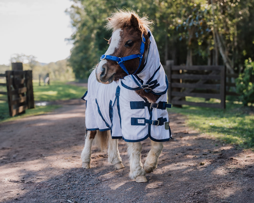 Piccolo Mini Mesh Summer Combo