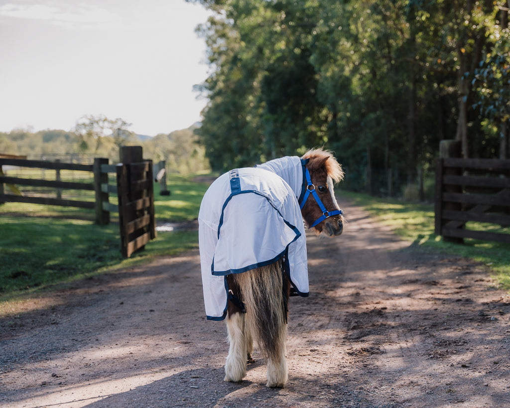 Piccolo Mini Mesh Summer Combo
