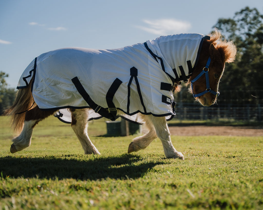 Piccolo Mini Mesh Summer Combo