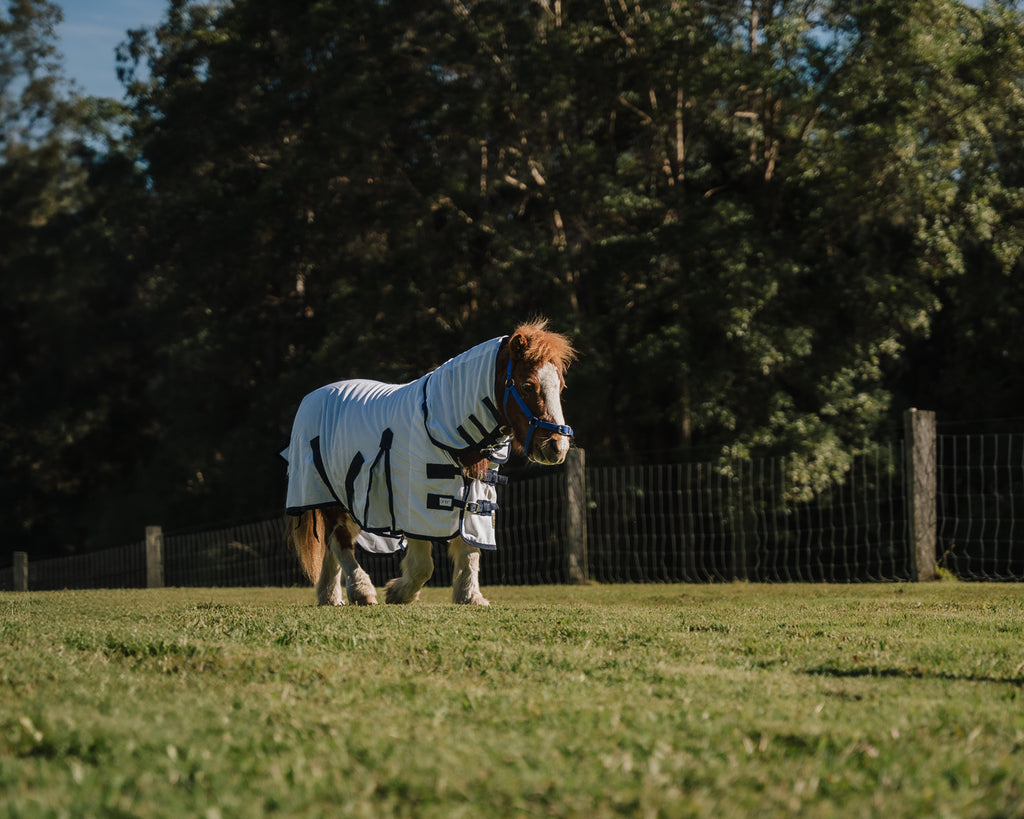 Piccolo Mini Mesh Summer Combo