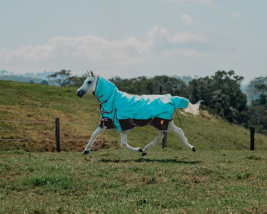 Kozy 1200D Ripstop Horse Rug Combo - Charcoal & Coral | Horse Winter ...