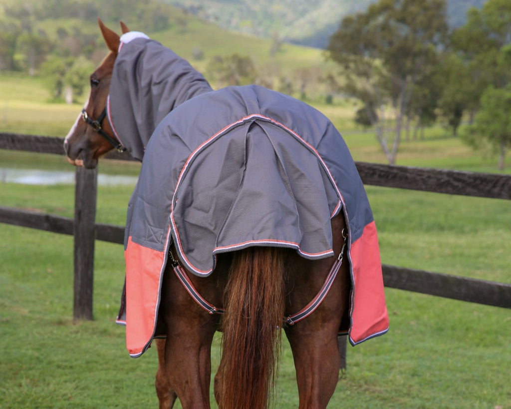 Kozy 1200D Combo by Kozy: A high-performance horse rug designed with Teflon® technology for dirt and water repellency. Made with a 1200 denier seamless ripstop outer, waterproof and breathable fabric, and 200g polyfill insulation. The quilted satin lining offers additional chest and shoulder protection. Available at Greg Grant Saddlery