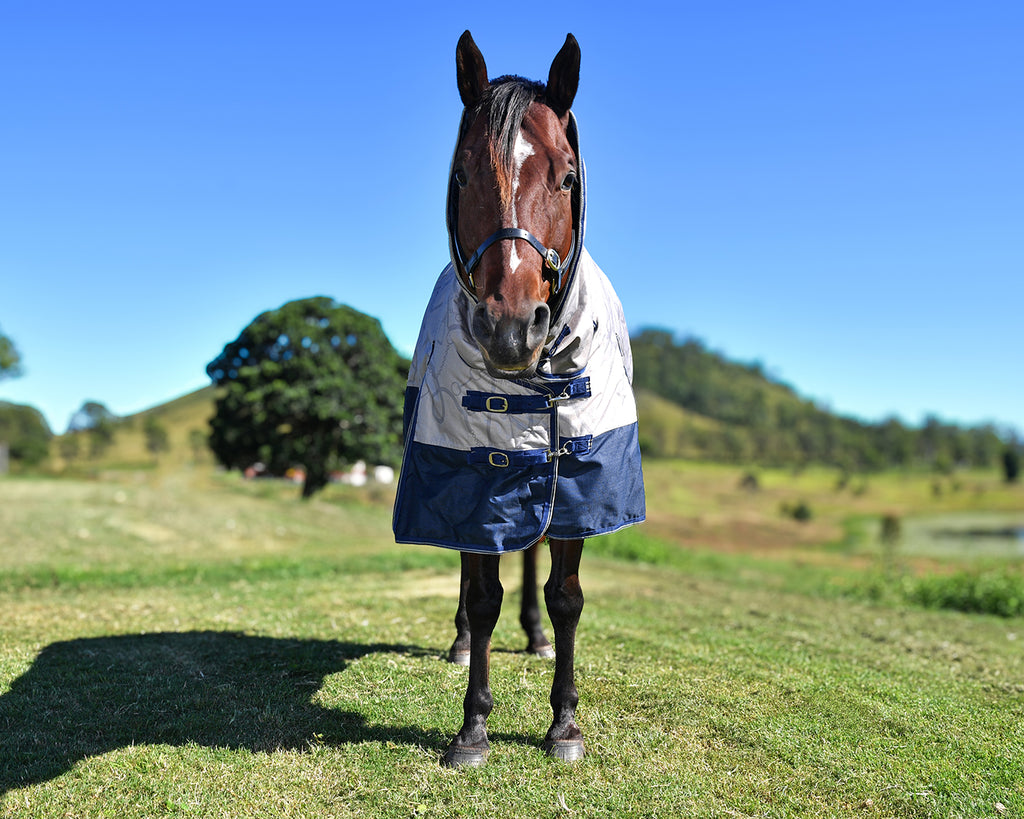 Conrad 1200D 250G Fill Combo- Bit Design