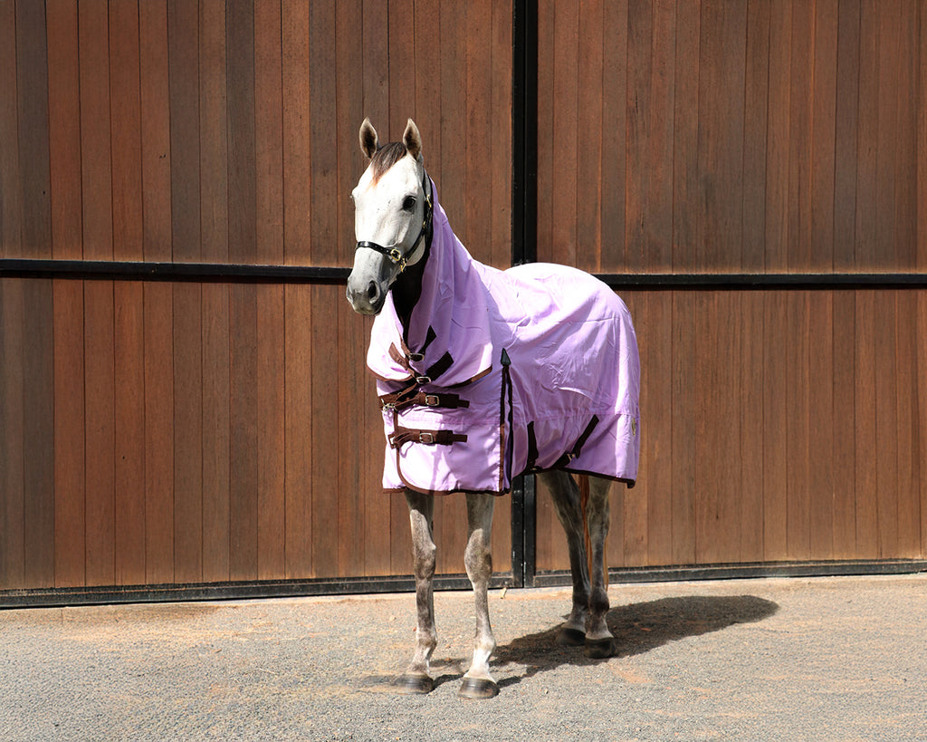 Conrad 600D Rainsheet Combo Rug - Lilac