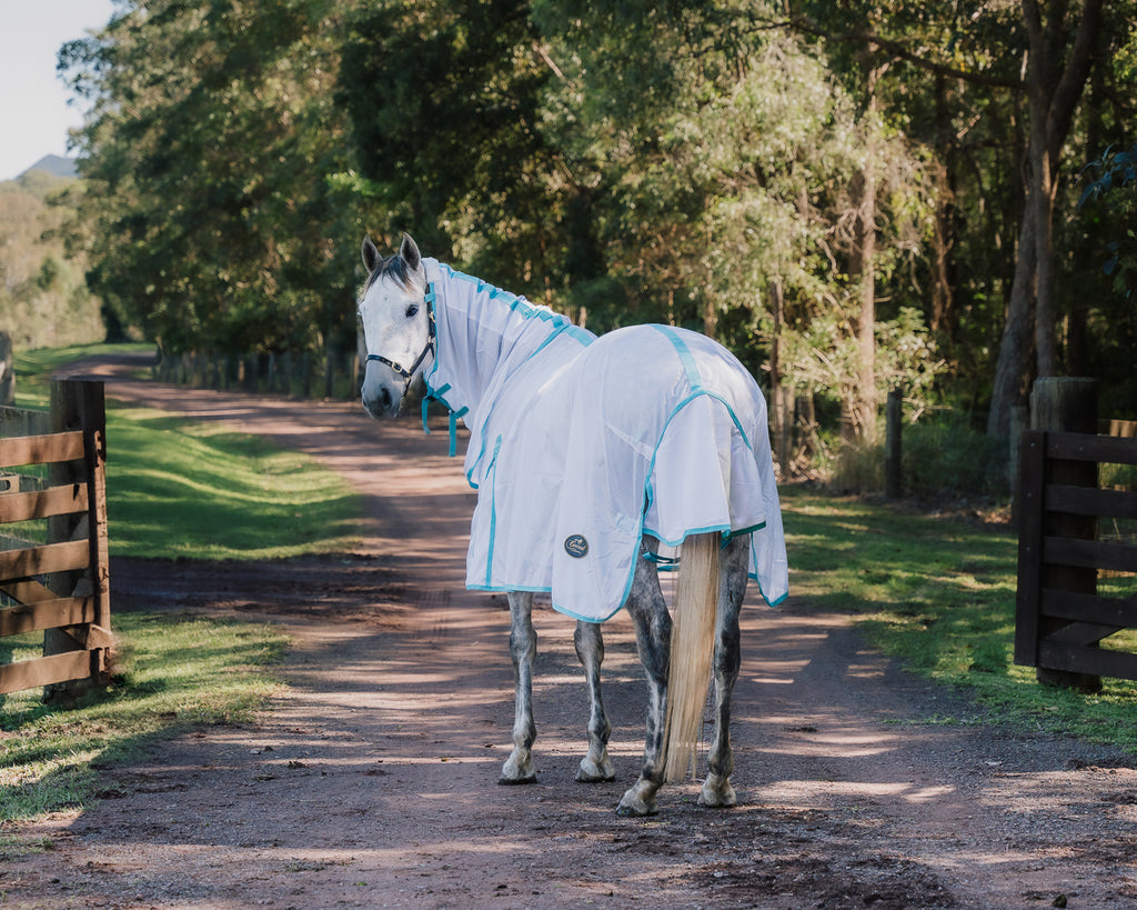 Conrad Fly Mesh Horse Rug Combo - White/Turquoise