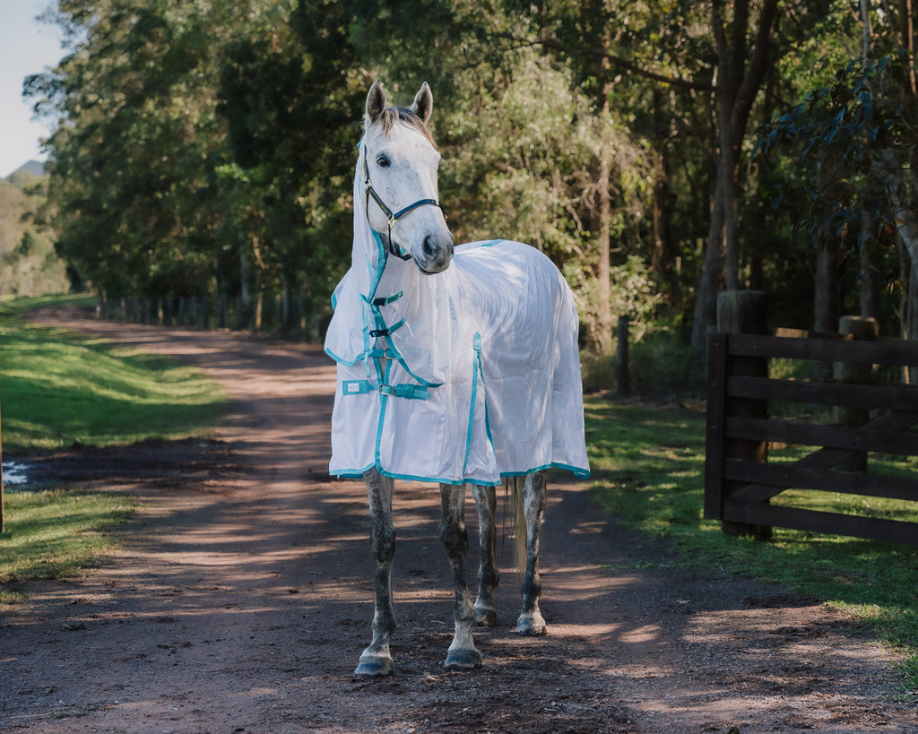 Conrad Fly Mesh Horse Rug Combo - White/Turquoise