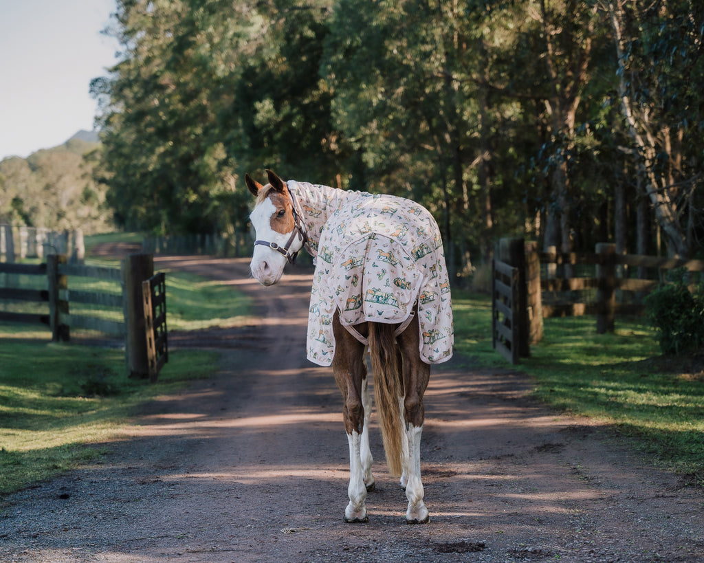 Bobby Fly Mesh Printed Combo - Wild Horse Print