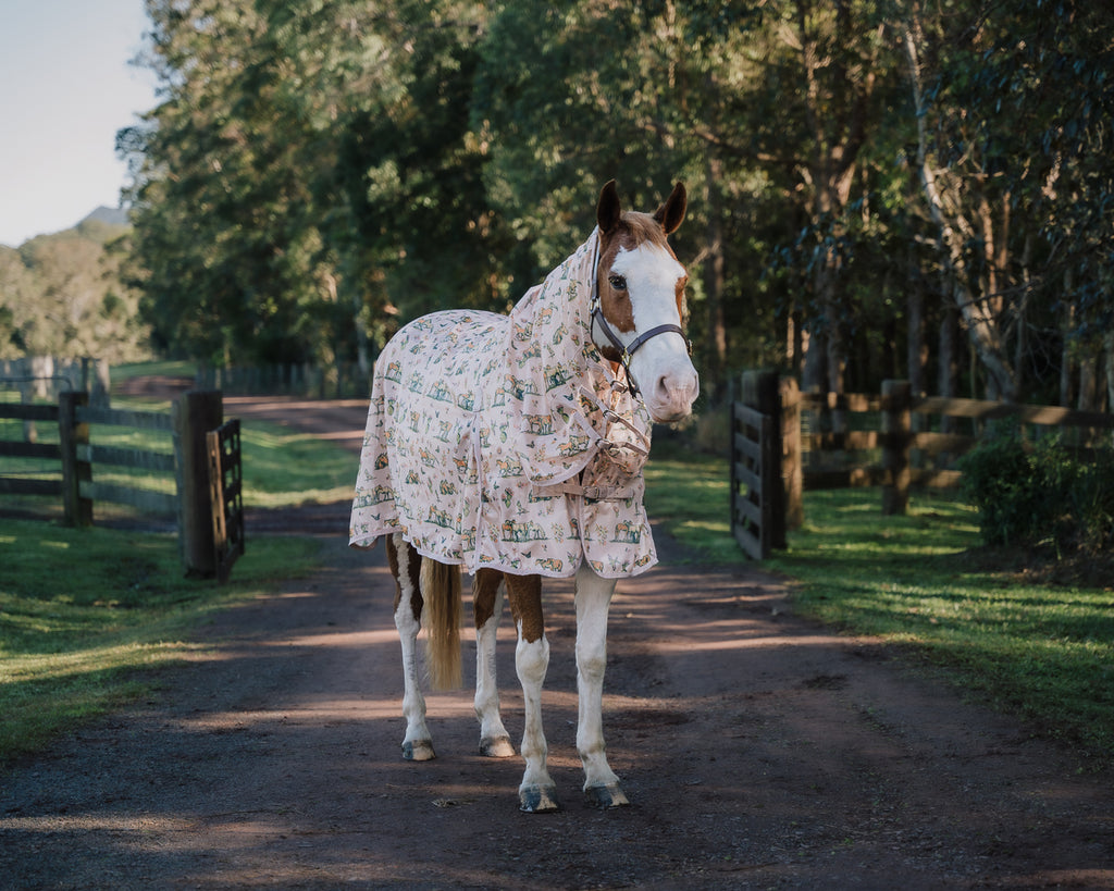 Bobby Fly Mesh Printed Combo - Wild Horse Print