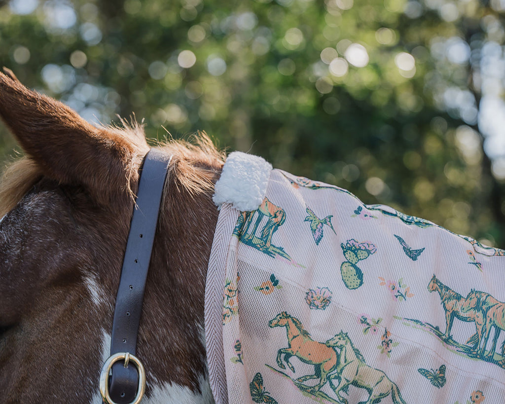 Bobby Fly Mesh Printed Combo - Wild Horse Print