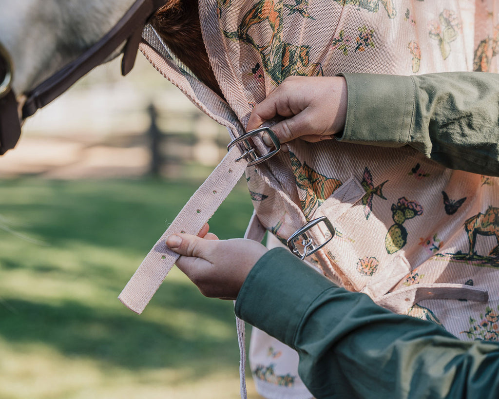 Bobby Fly Mesh Printed Combo - Wild Horse Print