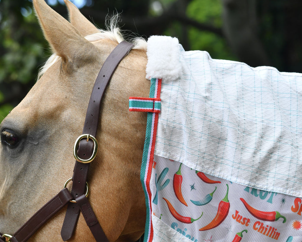 Kool Master Hybrid Tear stop Combo - Hot to Trot