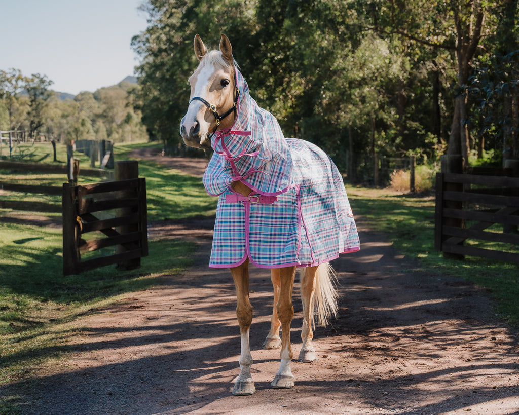 Kool Master PVC Shade Mesh Horse Rug Combo - Ice Blue/Pink