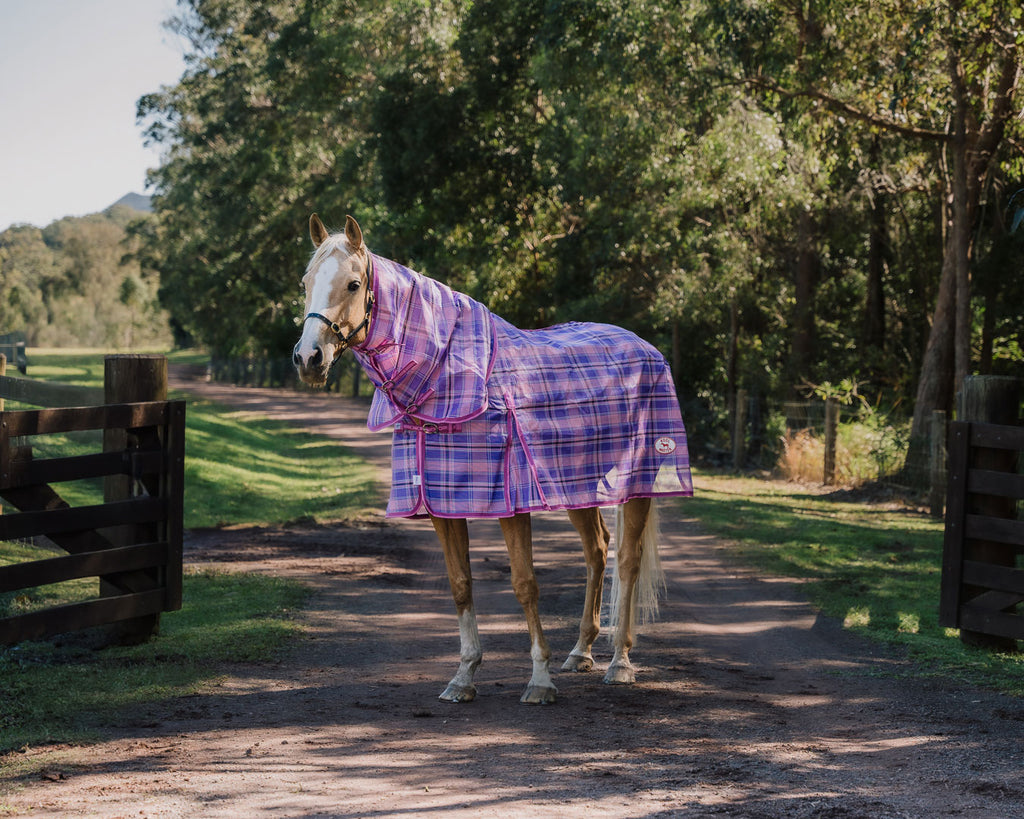 Kool Master PVC Shade Mesh Horse Rug Combo - Pink & Purple