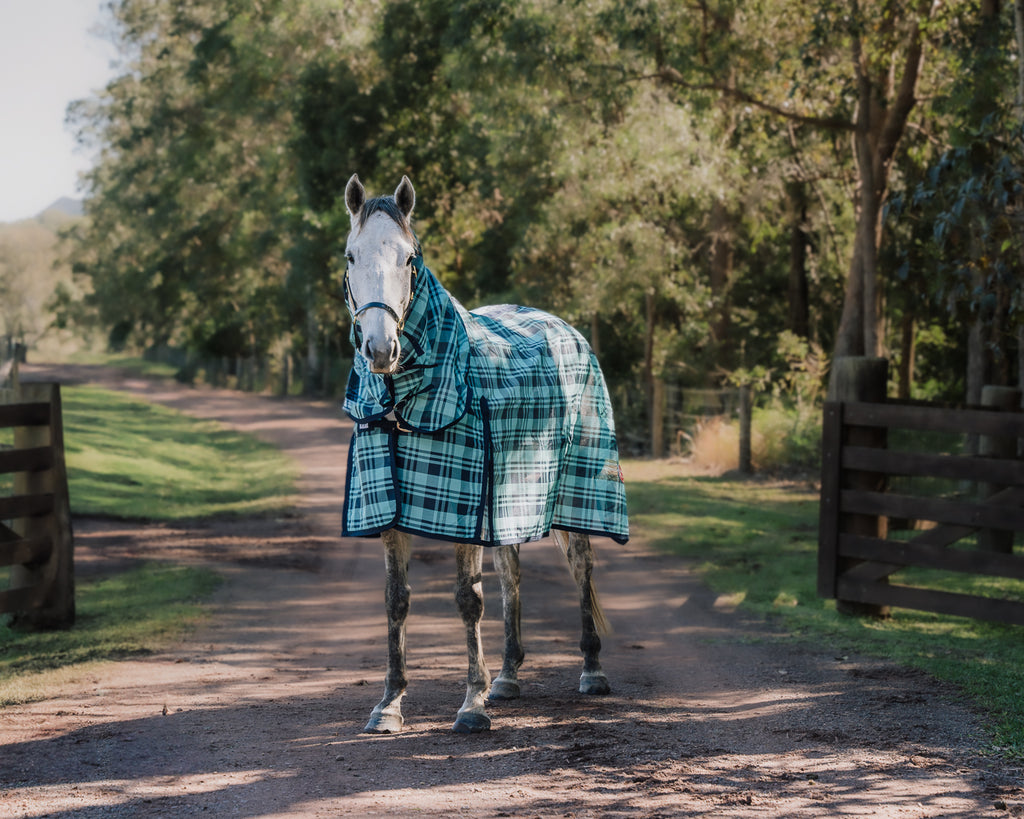 Kool Master PVC Shade Mesh Horse Rug Combo - Turquoise & Navy