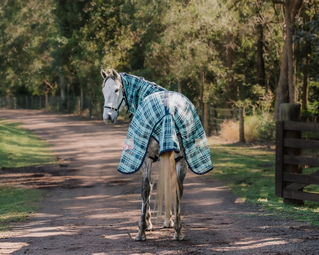 Kool Master PVC Shade Mesh Horse Rug Combo - Turquoise & Navy