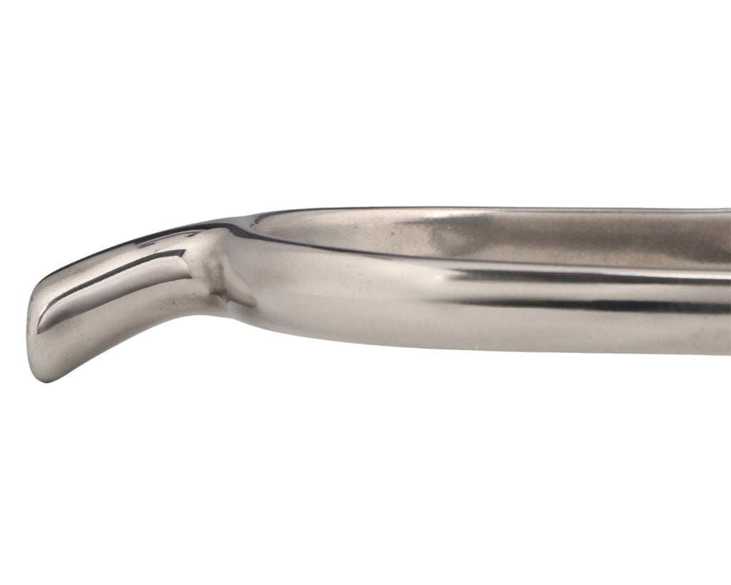 Prince of Wales Spurs Stainless Steel