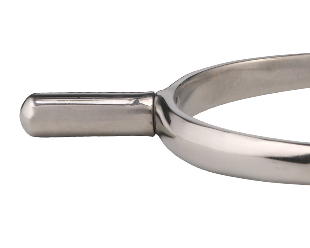 Interchangeable Prince of Wales Spurs
