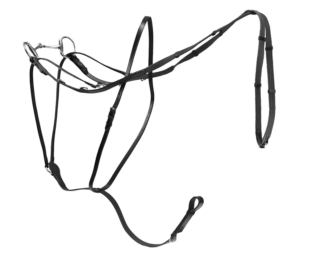 Market Harborough Martingale