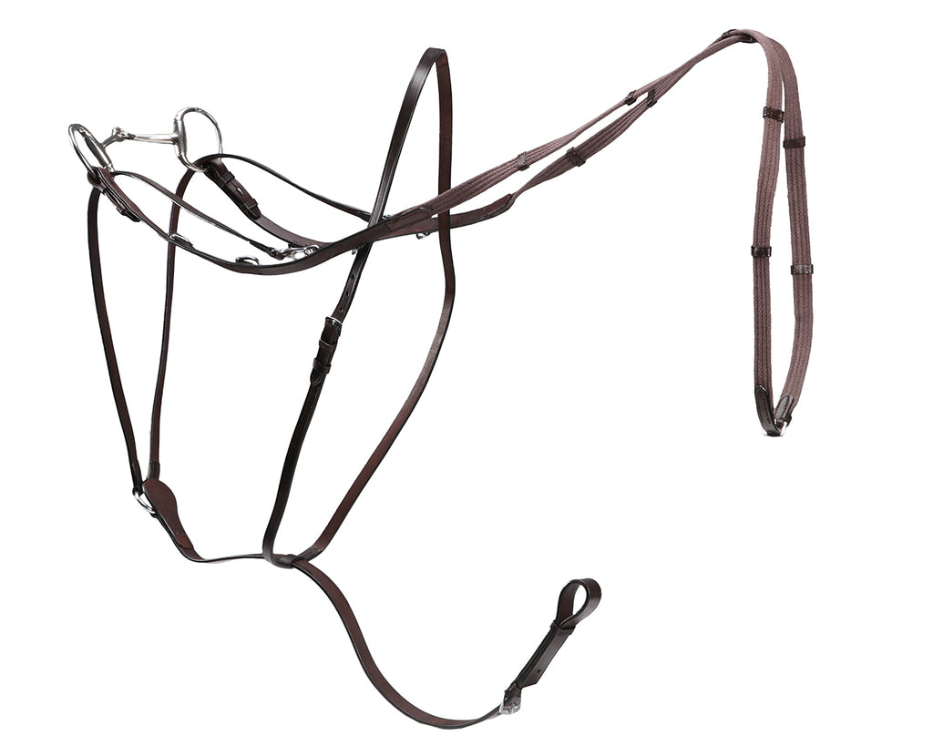 Market Harborough Martingale