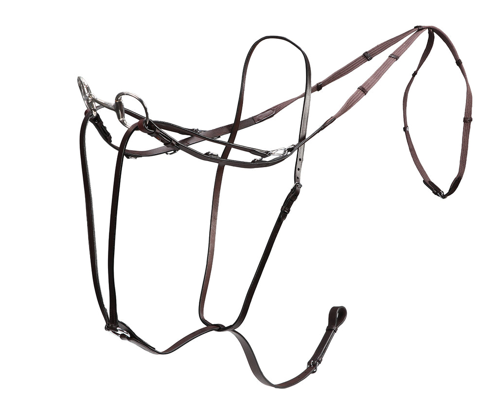 Market Harborough Martingale