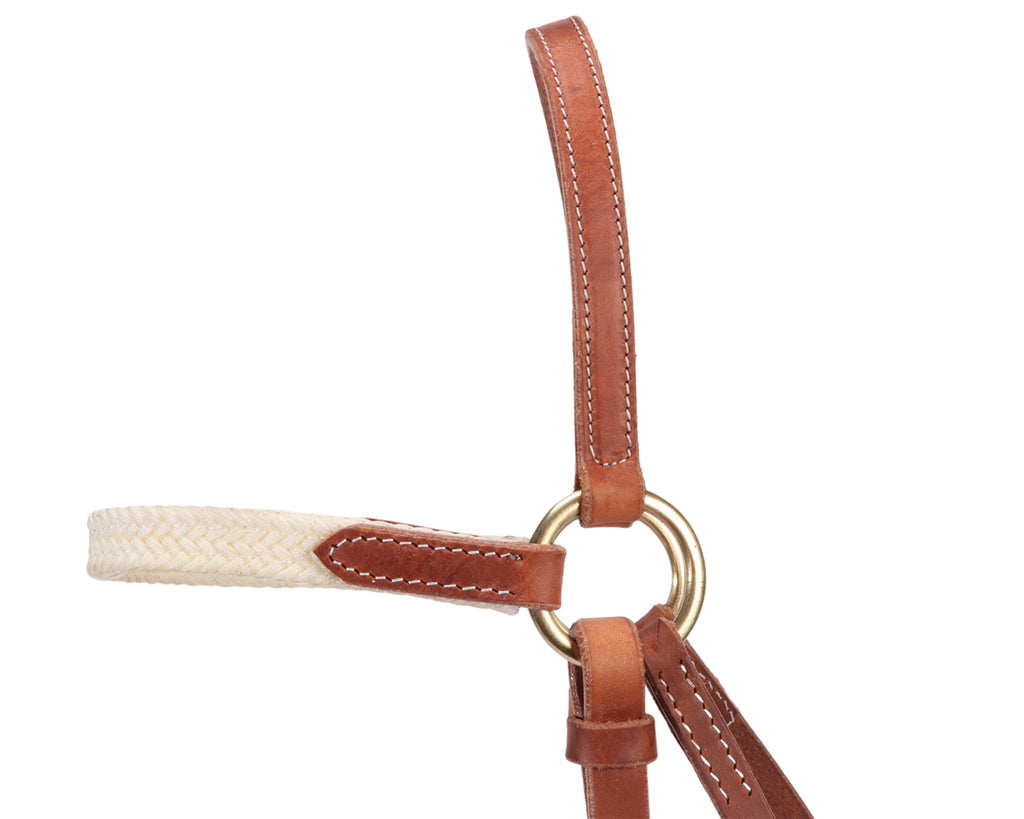 Fort Worth Barcoo Bridle w/Padded Brow