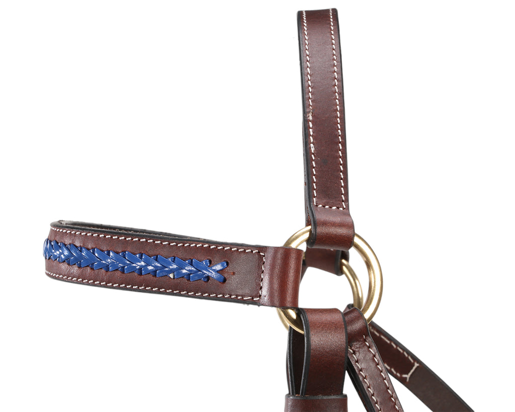 Fort Worth Barcoo Bridle Brown - Blue Browband