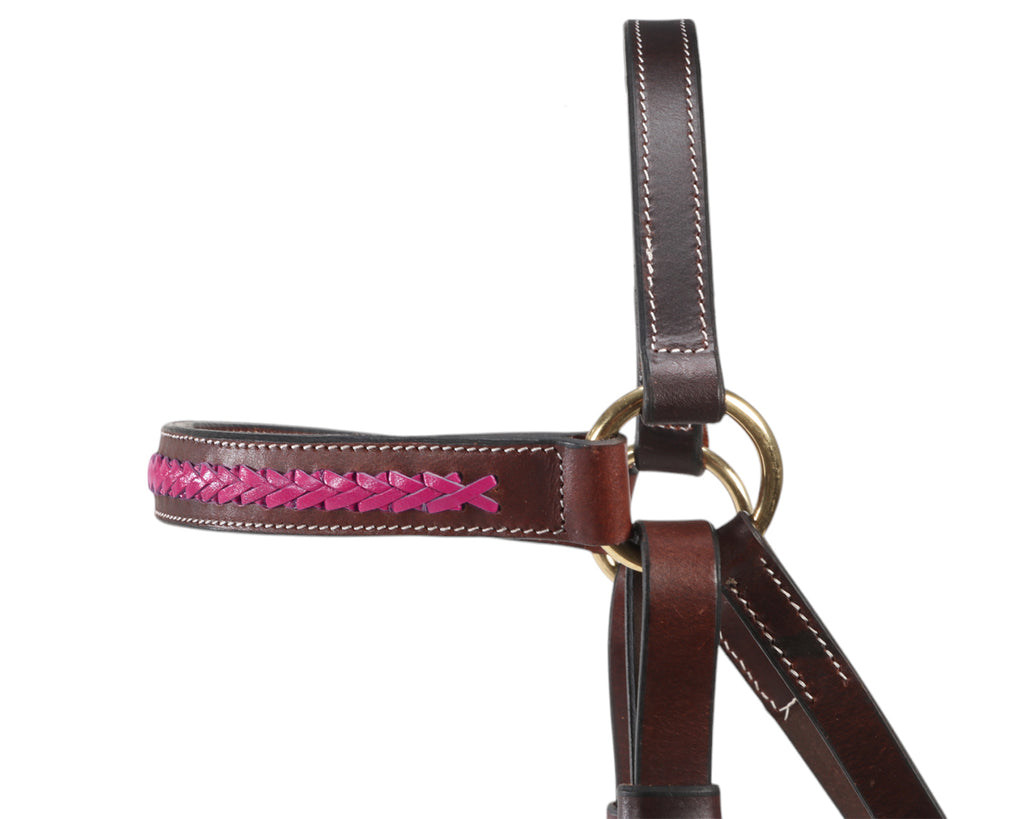Fort Worth Barcoo Bridle Brown -  Pink Browband