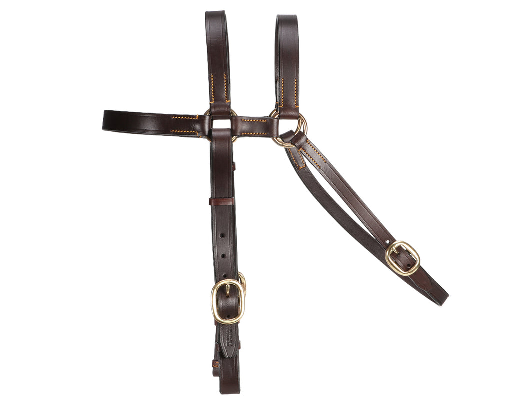 Ord River 7/8" Extended Head Barcoo Bridle